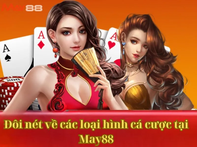 Đôi nét về các loại hình cá cược tại May88