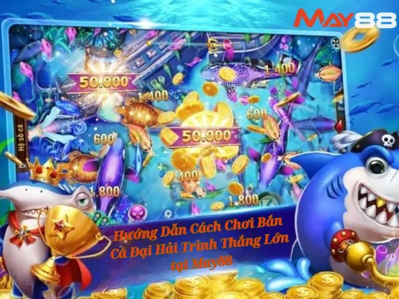 Hướng dẫn tham gia trò chơi One Piece Đại Hải Trình tại May88